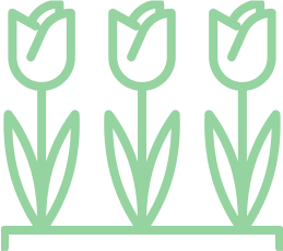 美しい庭園デザインとガーデニング施工